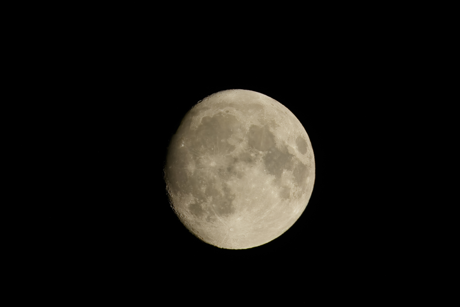 X4A05382024-Moon-Victoria-BC