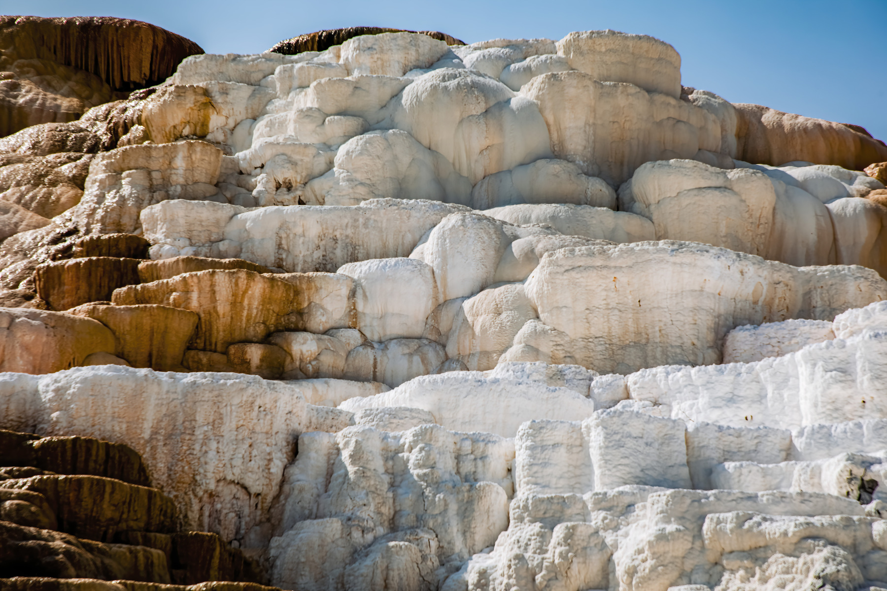 NWUSA-Idaho-Yellowstone-24A